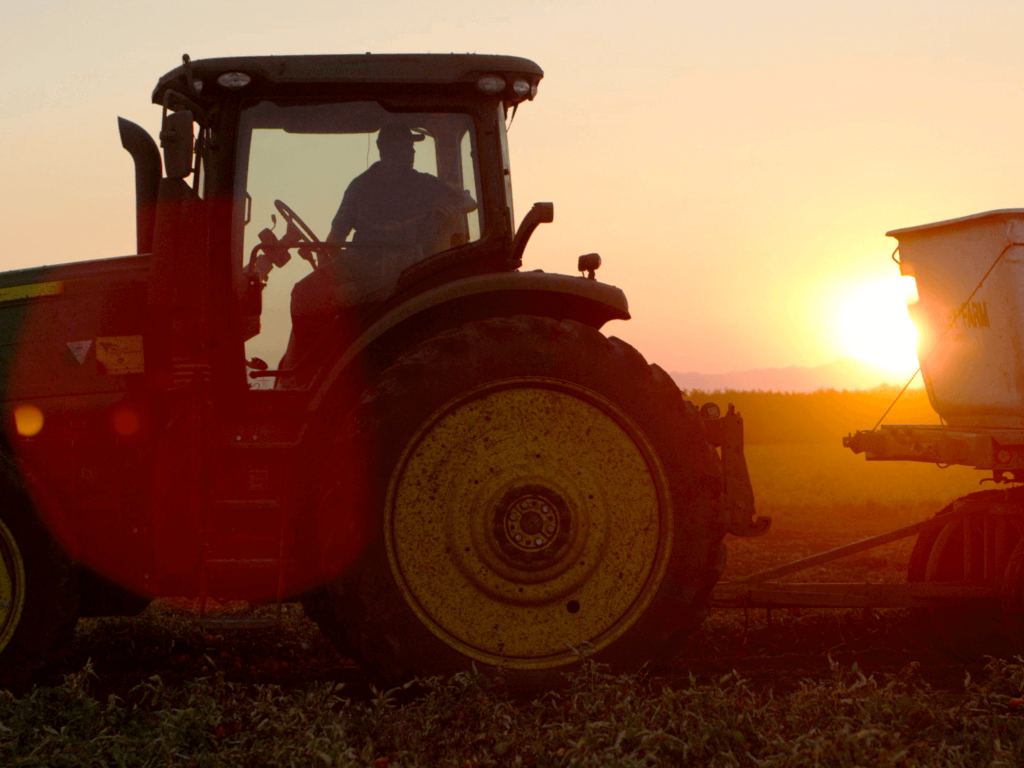 Campbell tomato farmer