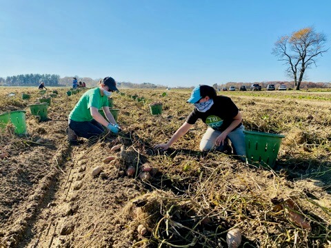 people gardening