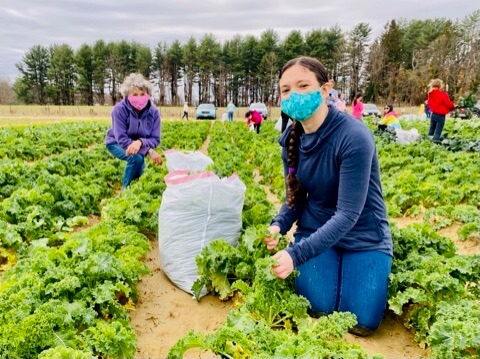 women gardening in field