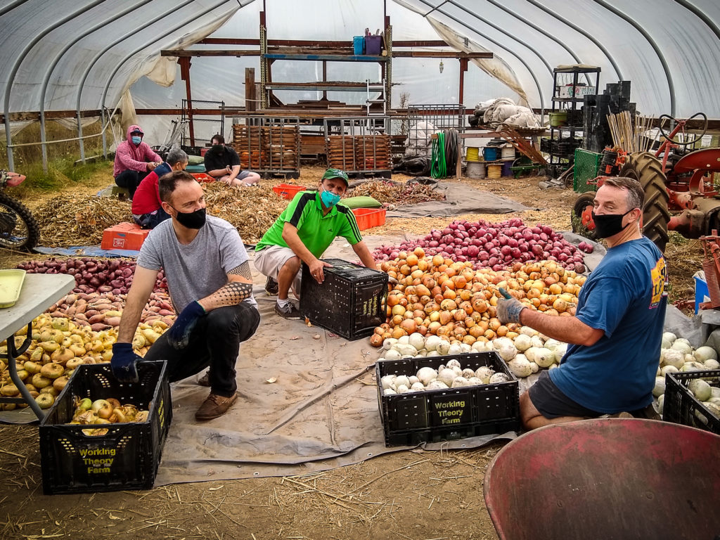 volunteers packing food