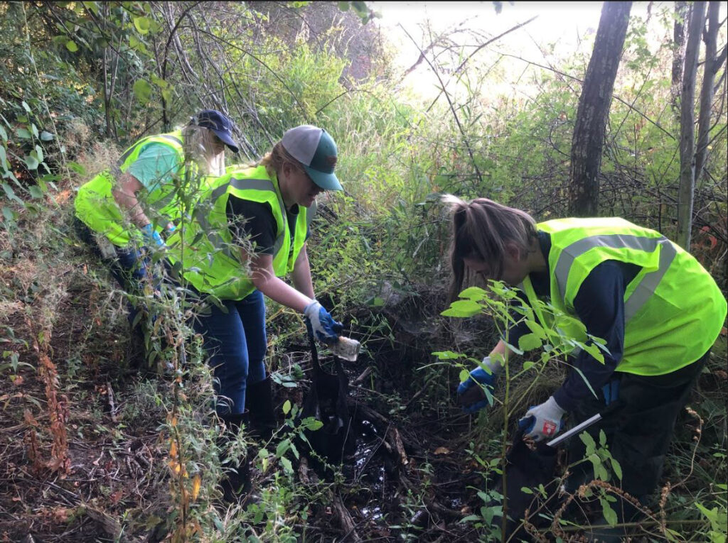 Pacific Foods Wetlands Project